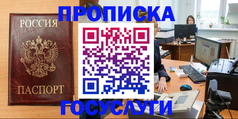 где прописаться в Новгородской области